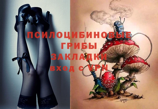 МДПВ Алзамай