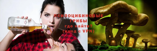 МДПВ Алзамай