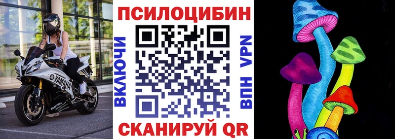 shop формула  Тулун  Псилоцибиновые грибы GOLDEN TEACHER 